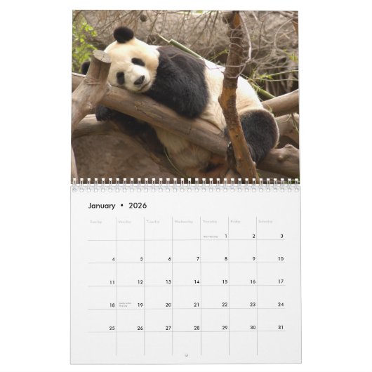 Giant Panda Beer Calendar, Giant Panda Beren Kalender (Jan 2026)