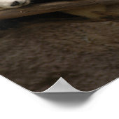 Giant Panda Beer Canvas afdrukken Poster (Hoek)