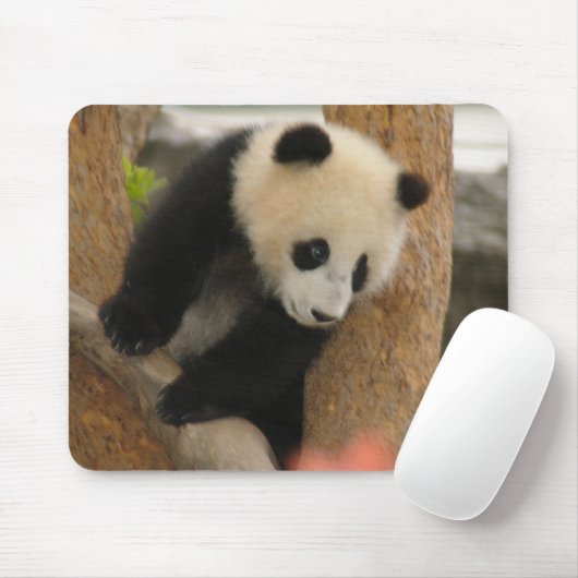 Giant Panda Beer Mousepad Muismat (Met muis)