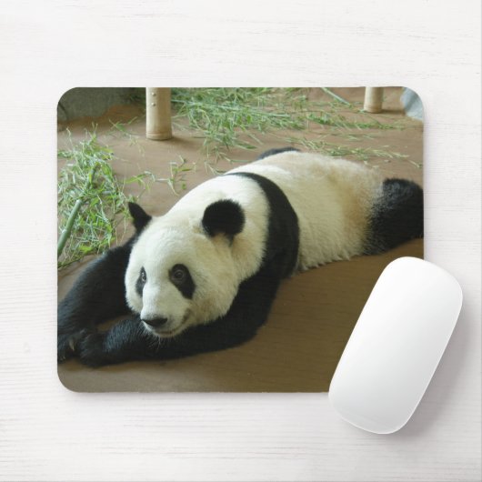 Giant Panda Beer Mousepad Muismat (Met muis)
