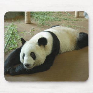 Giant Panda Beer Mousepad Muismat