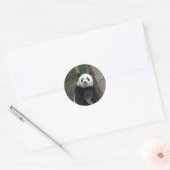 Giant Panda Beer Stickers (Envelop)