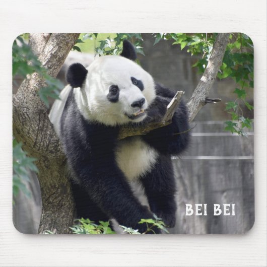 Giant Panda Bei Bei Mousepad Muismat (Voorkant)