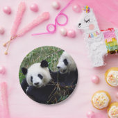 Giant Panda Beren Eating Bamboo (kinder partij) Papieren Bordje (Feest)