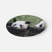 Giant Panda Beren Eating Bamboo (kinder partij) Papieren Bordje (Gekanteld)