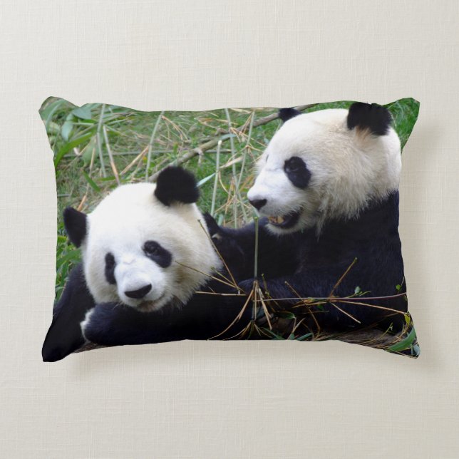 Giant Panda Beren Eating Bamboo & Palling (grappig Accent Kussen (Voorkant)