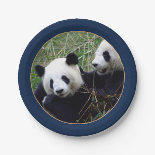 Giant Panda Beren Eating Bamboo (Party) Paper Plat Papieren Bordje