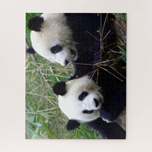 Giant Panda Beren Eating Bamboo & Past puzzel (Verticaal)