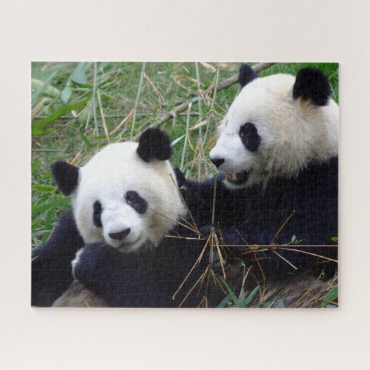 Giant Panda Beren Eating Bamboo & Past puzzel (Horizontaal)