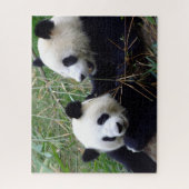 Giant Panda Beren Eating Bamboo & Past puzzel Legpuzzel (Verticaal)