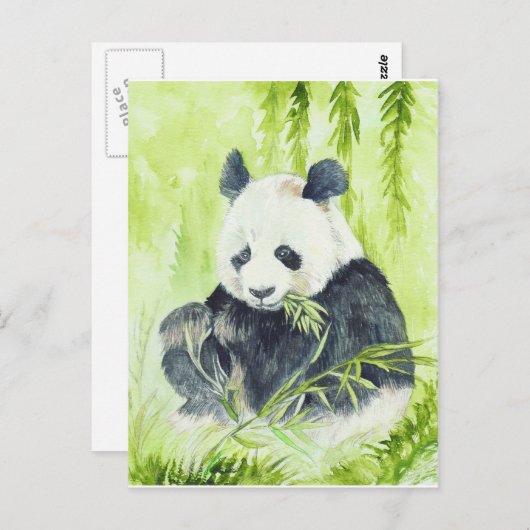 Giant panda briefkaart (Voorkant / Achterkant)