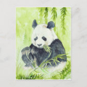 Giant panda briefkaart (Voorkant)