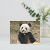 Giant Panda Briefkaart (Staand voorkant)