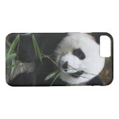 Giant panda Case-Mate iPhone case (Achterkant (Horizontaal))
