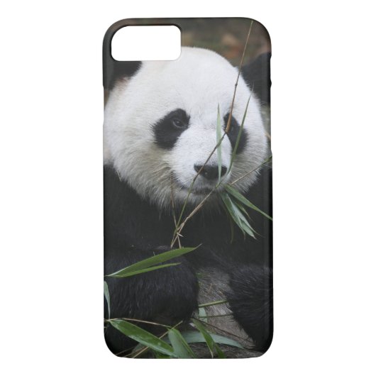 Giant panda Case-Mate iPhone case (Achterkant)