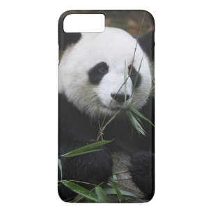 Giant panda 	iPhone 8/7 plus hoesje