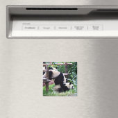 Giant Panda, China (Fridge Magnet) Magneet (Insitu (Vaatwasser))