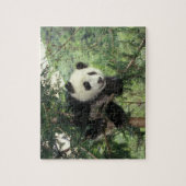 Giant Panda cub klimt een boom, Wolong Valley, Legpuzzel (Verticaal)