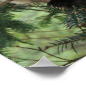 Giant Panda cub klimt een boom, Wolong Valley, Poster (Hoek)