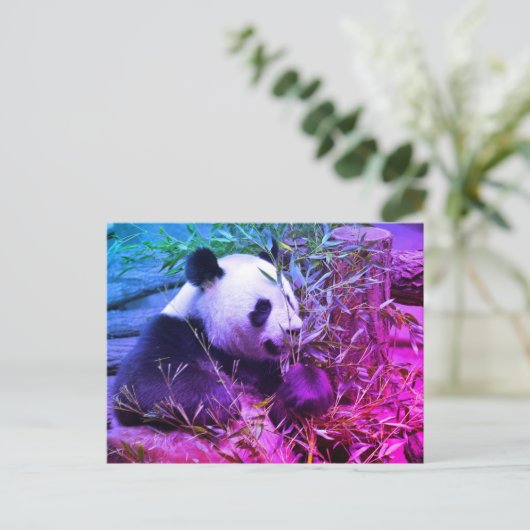 Giant panda eating bamboo briefkaart (Staand voorkant)