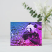 Giant panda eating bamboo briefkaart (Staand voorkant)