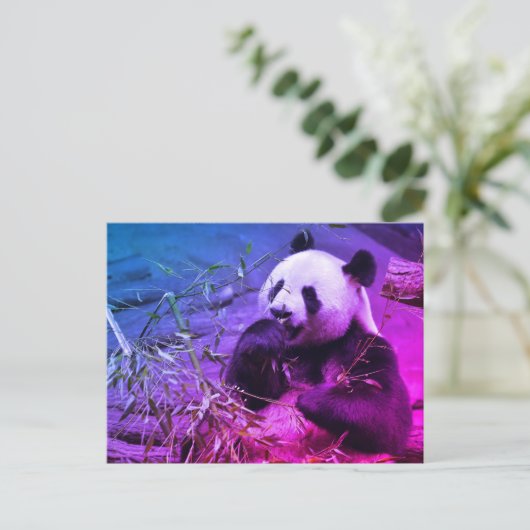 Giant panda eating bamboo briefkaart (Staand voorkant)