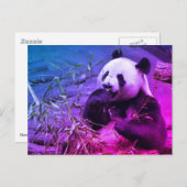 Giant panda eating bamboo briefkaart (Voorkant / Achterkant)