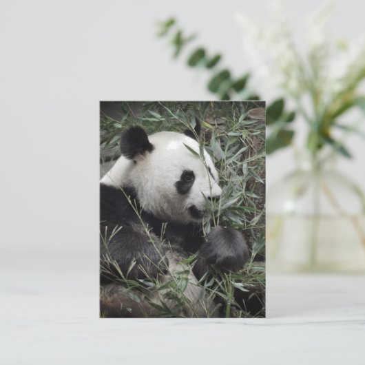 Giant panda eating bamboo briefkaart (Staand voorkant)