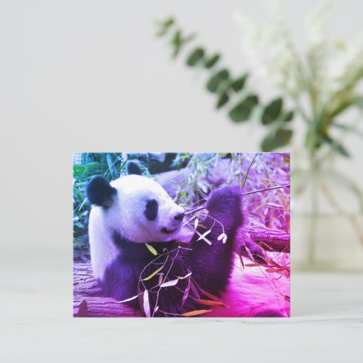 Giant panda eating bamboo briefkaart (Staand voorkant)