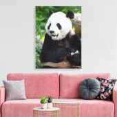 Giant Panda Eating Bamboo Canvas Afdruk (Insitu (Woonkamer))