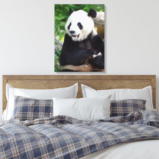 Giant Panda Eating Bamboo Canvas Afdruk (Insitu (Slaapkamer))
