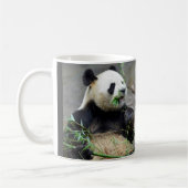 Giant panda eating bamboo koffiemok (Links)