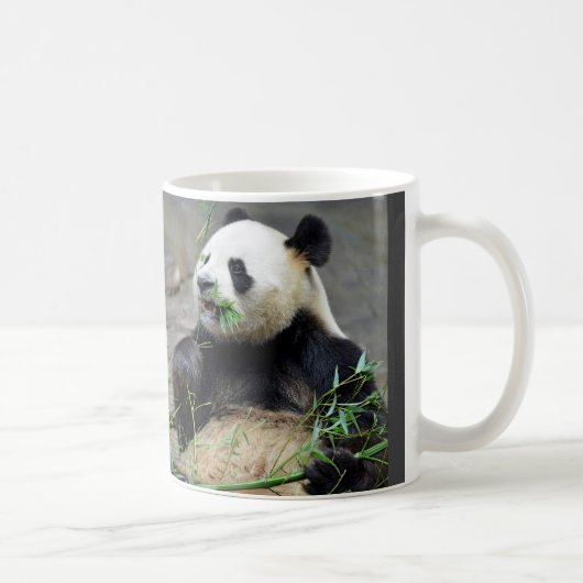 Giant panda eating bamboo koffiemok (Rechts)