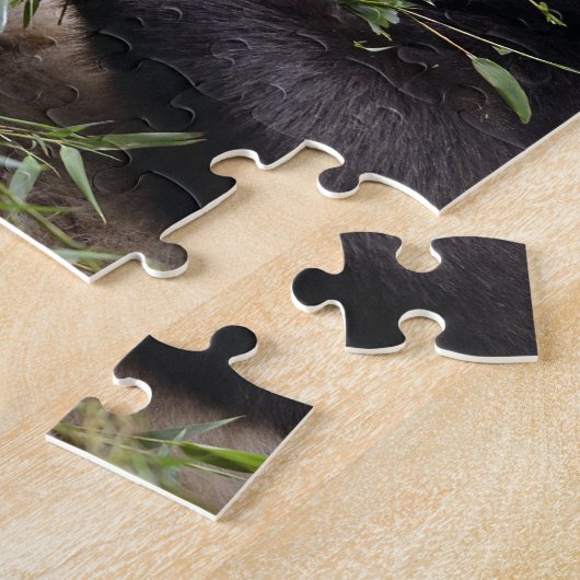 Giant panda eating bamboo legpuzzel (Zijkant)