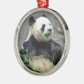 Giant panda eating bamboo metalen ornament (Links)