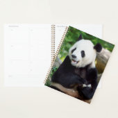 Giant Panda Eating Bamboo Planner (Display)