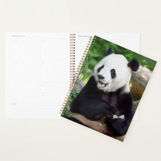 Giant Panda Eating Bamboo Planner (Display)