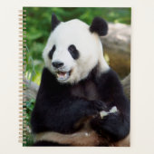 Giant Panda Eating Bamboo Planner (Voorkant)