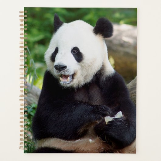 Giant Panda Eating Bamboo Planner (Voorkant)