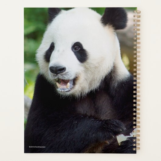 Giant Panda Eating Bamboo Planner (Achterkant)