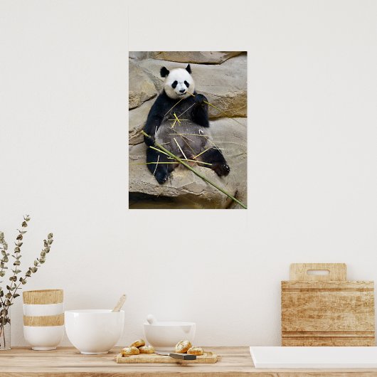 Giant panda eating bamboo poster (Keuken)