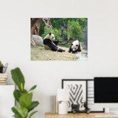 Giant Panda en Bamboo Poster (Thuiskantoor)
