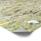 Giant Panda en Bamboo Poster (Hoek)