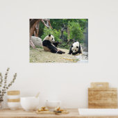 Giant Panda en Bamboo Poster (Keuken)