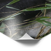 Giant panda foto afdruk (Hoek)