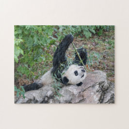 Giant Panda Geniet van het leven Puzzle Legpuzzel