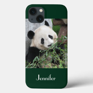 Giant Panda Green Background Cute, Name iPhone 13 Hoesje
