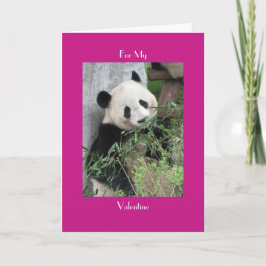 Giant Panda Happy Valentijnsdag Roze Groet Feestdagen Kaart