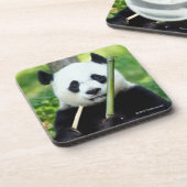 Giant Panda Holding Bamboo Bier Onderzetter (Linkerzijde)