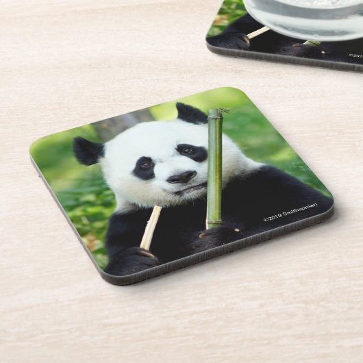 Giant Panda Holding Bamboo Bier Onderzetter (Linkerzijde)